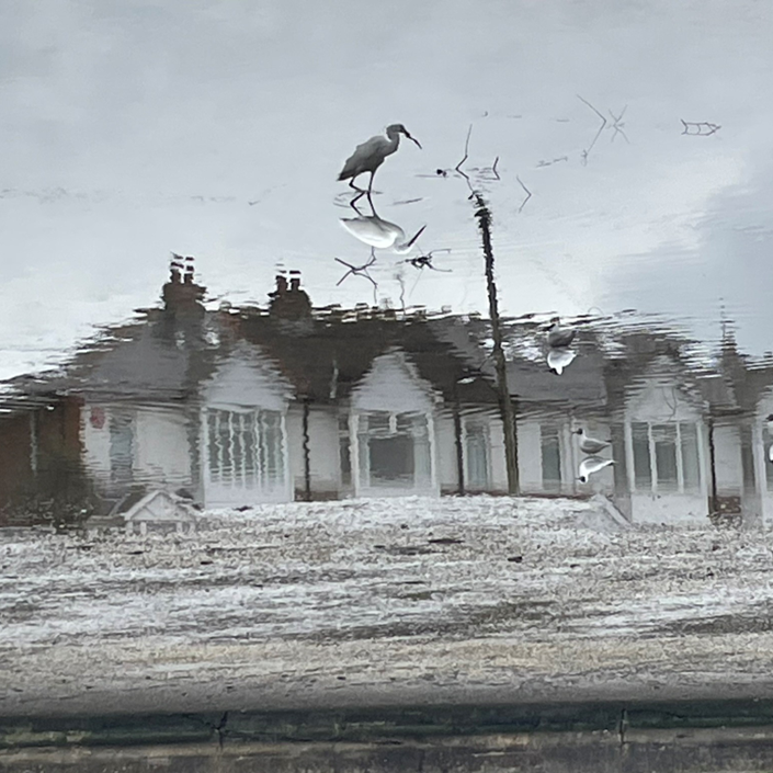 Upload two images of your work: Toppled-Town-Broomfield-SMPPA Broomfield Photo