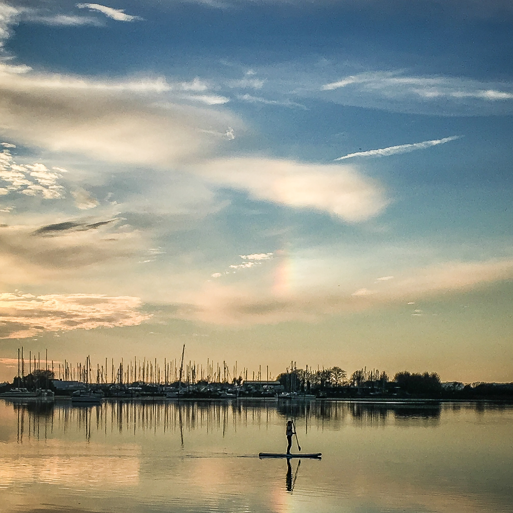 RosieMorgan2ndimage Dave Mallan