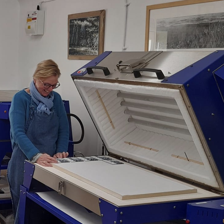 Upload one image of you at work in your studio: E90E3103-71BB-47E8-9C95-D4C03880B7BB_1_201_a Nancy Goodens