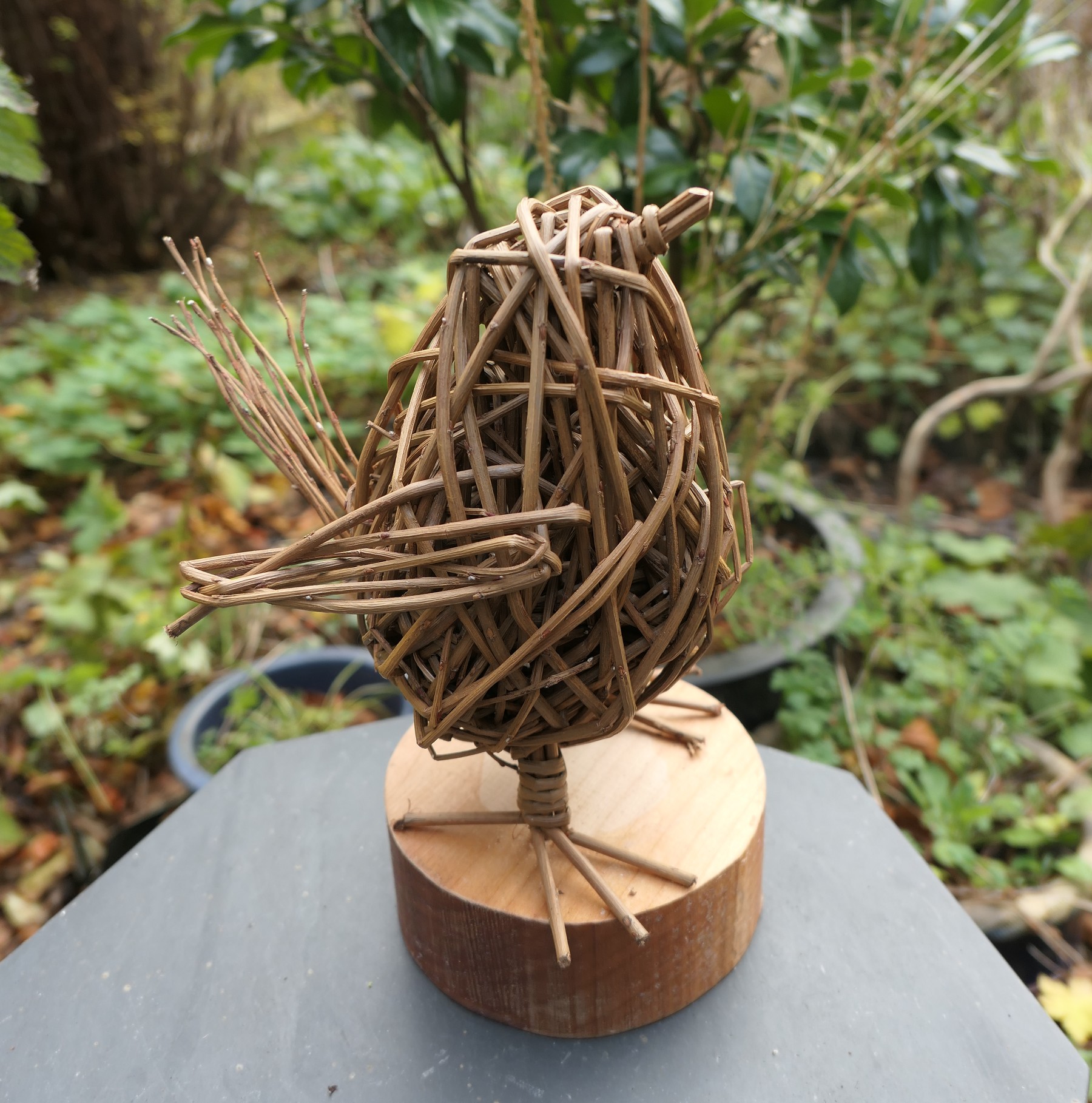 Upload two images of your work: Linda-Mills-wren Linda Mills