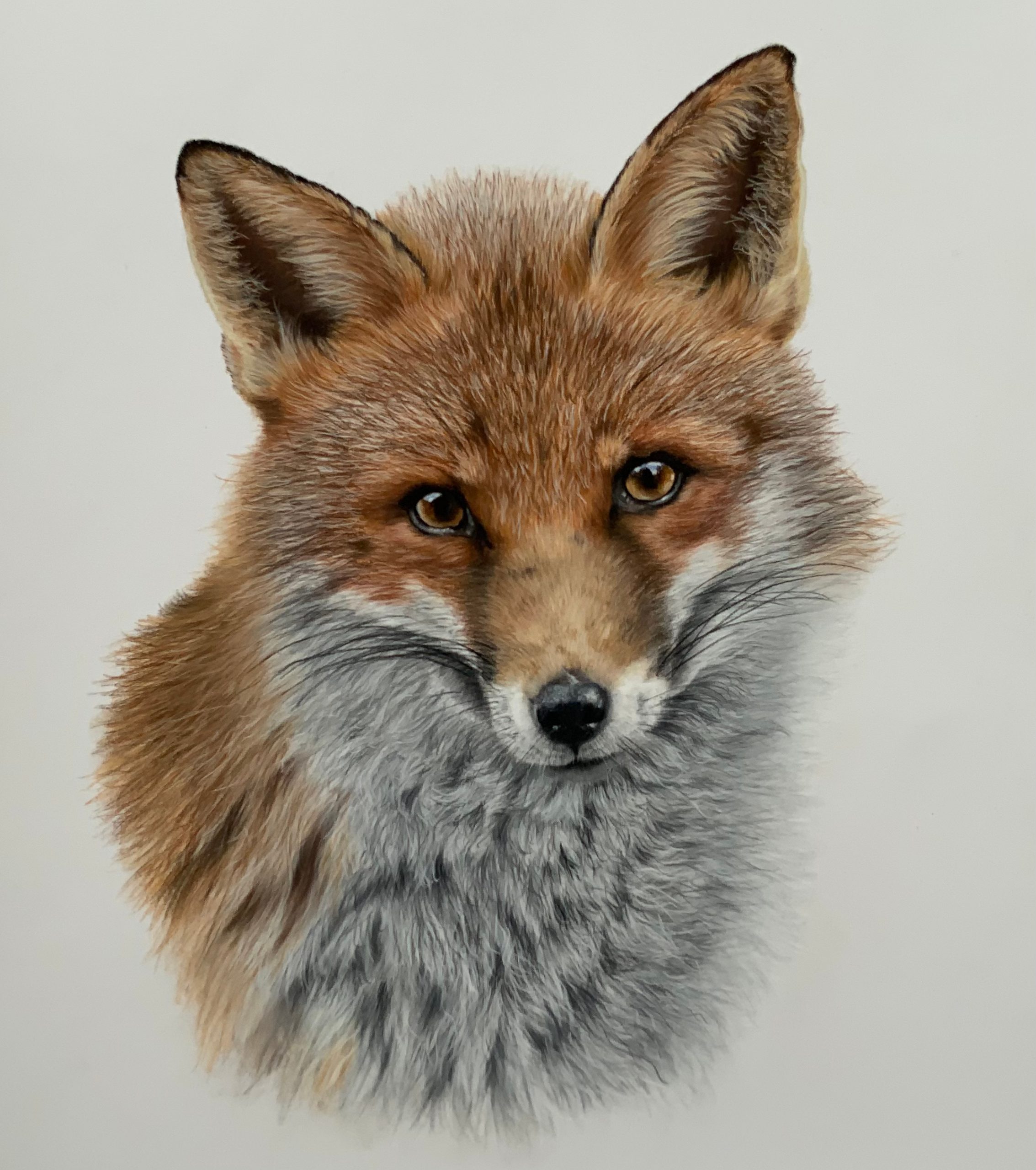 Upload two images of your work: VaughanKerry_image Kerry