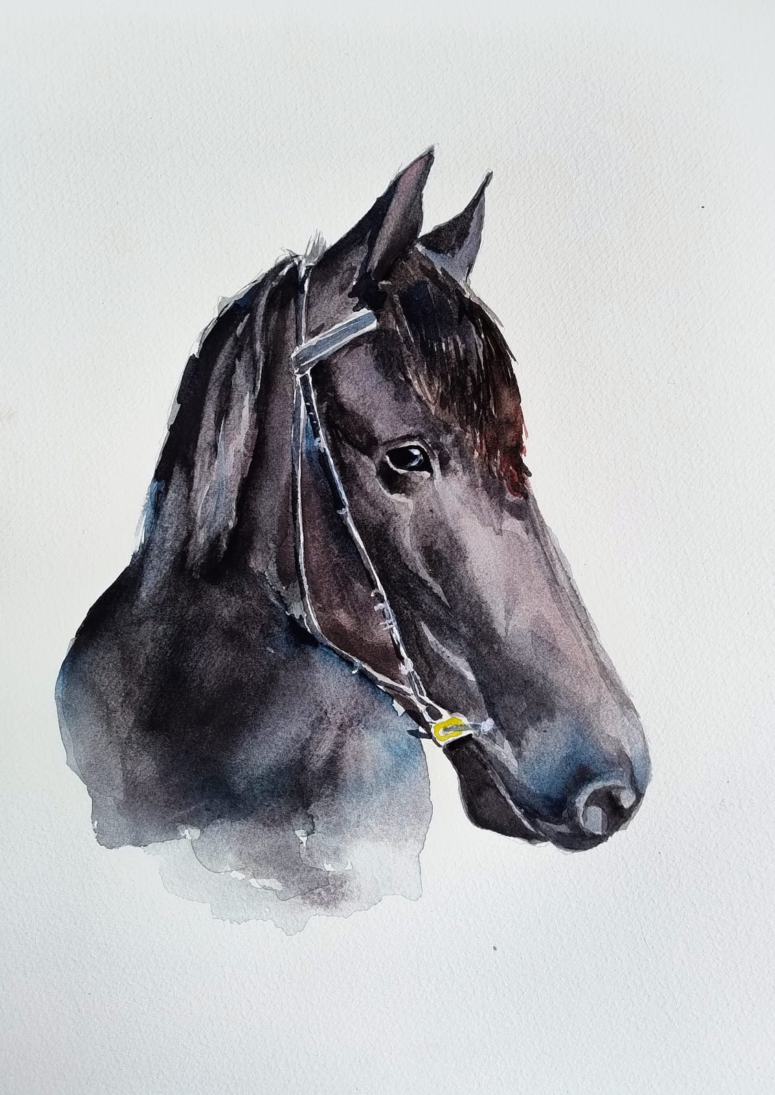 Upload two images of your work: Sue-Cooper-Sketchbook-Photo Sue Cooper