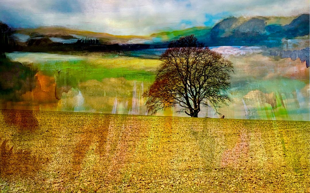 Samantha Millington – Ringwood