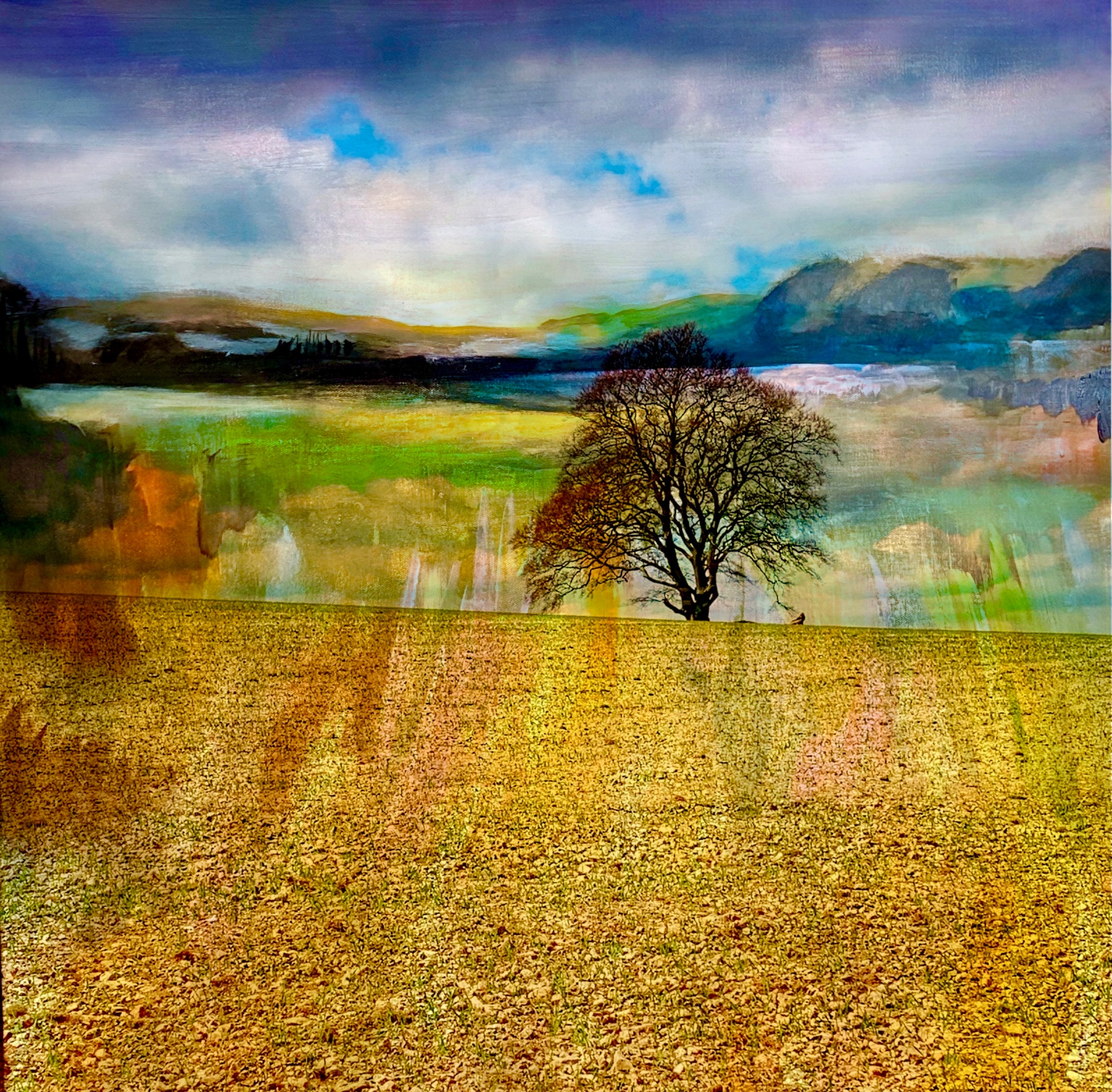 Upload two images of your work: 4-Paintings Lucille Scott