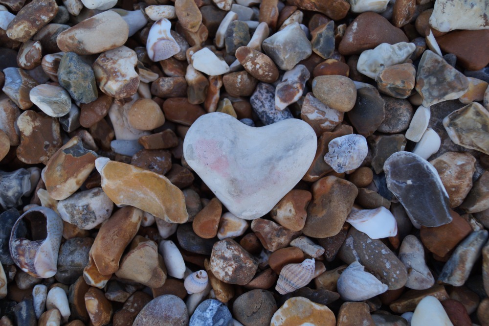 Broomfield Photographic Competition for Schools